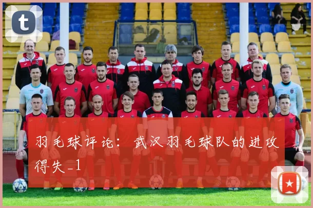 羽毛球评论：武汉羽毛球队的进攻得失_1