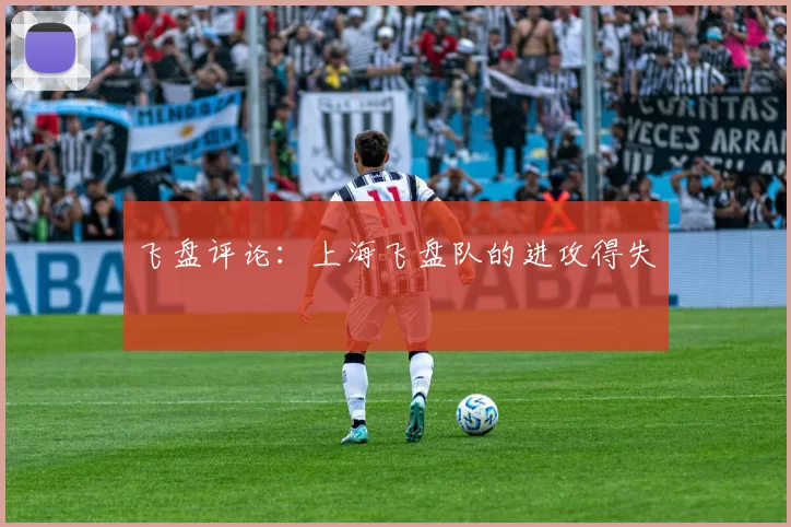 飞盘评论：上海飞盘队的进攻得失