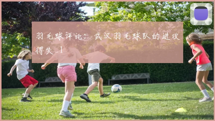 羽毛球评论：武汉羽毛球队的进攻得失_1