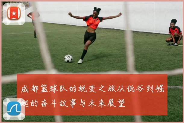 成都篮球队的蜕变之旅从低谷到崛起的奋斗故事与未来展望