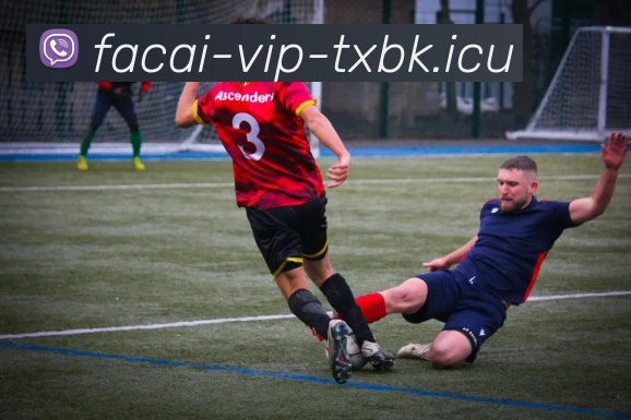 华体会体育平台生态图