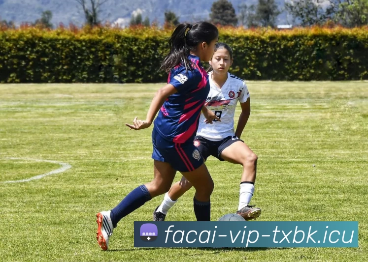 华体会体育全站App